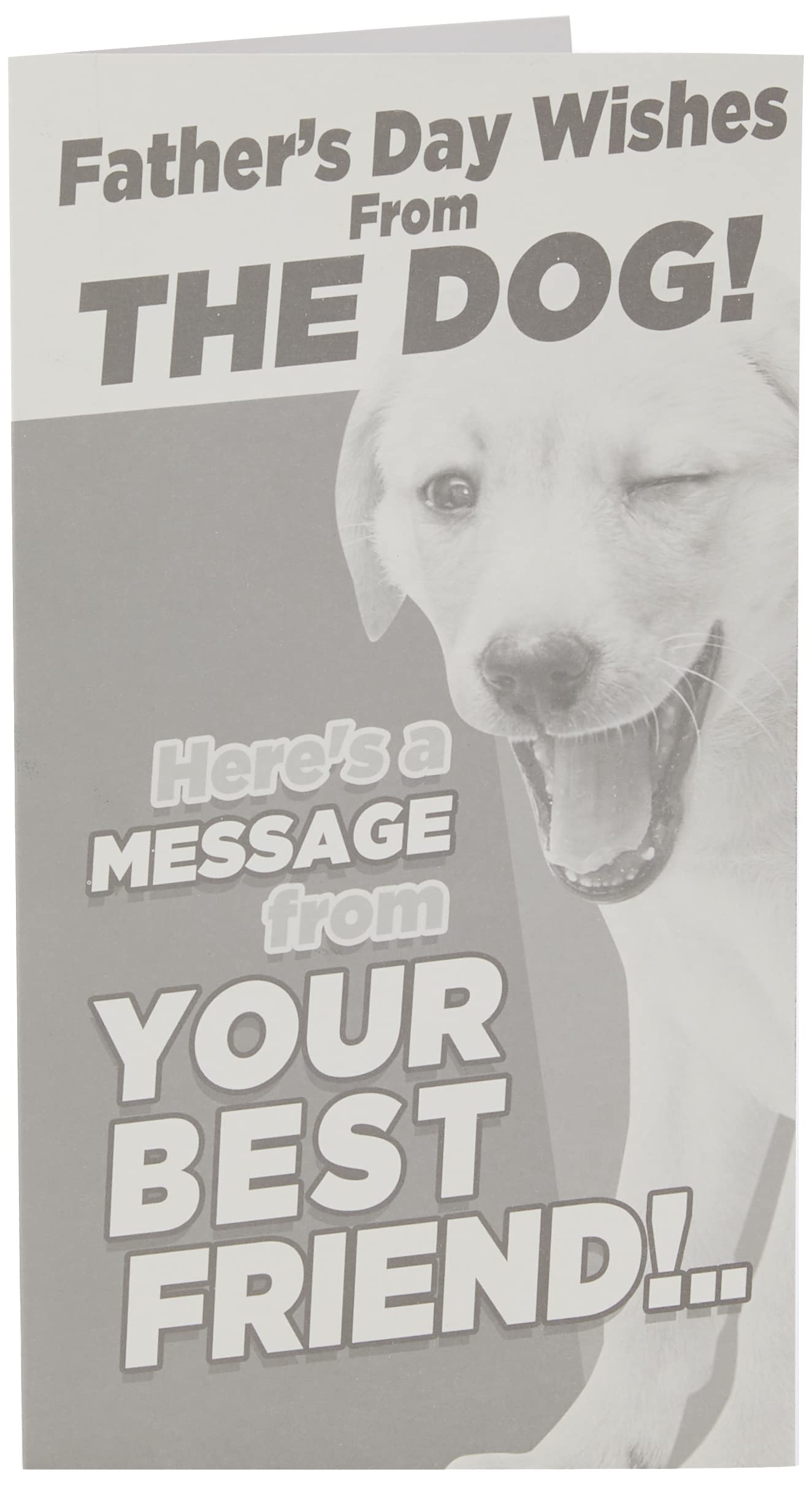 Emotional Rescue Father's Day Card From The Dog, Happy Father's Day Card From The Dog, Fathers Day Card, Father's Day Cards FW749