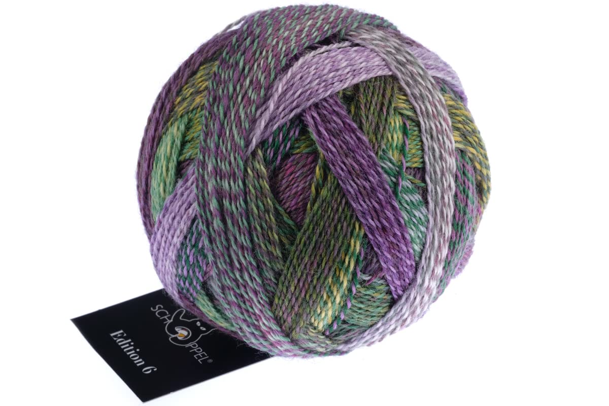 Schoppel Zauberball Edition 6 Colour 2474 Neighbours Garden | 100% Wool | Merino Wool Fine for Needle Size 2-3 mm, 50 g