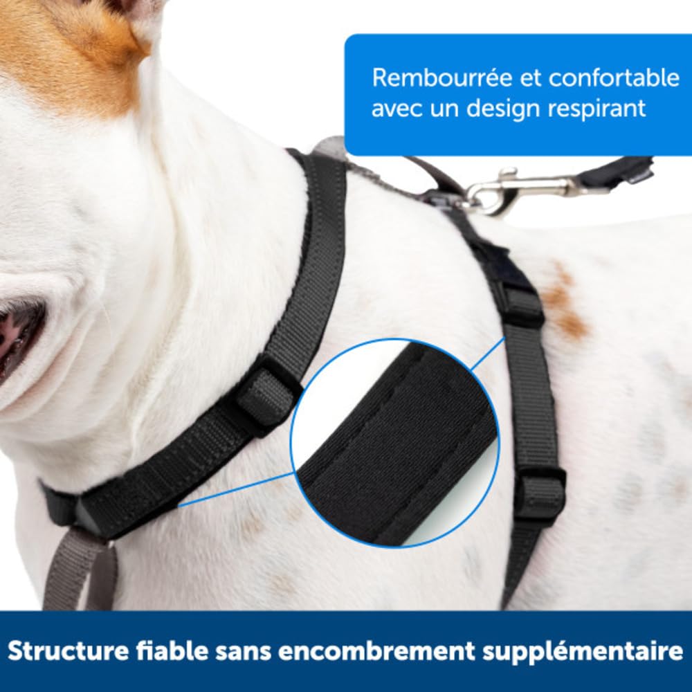 PetSafe Harnais 3-en-1 pour Chien - Ceinture de Sécurité pour Voiture - Anti-Traction – Confortable, Coutures Réfléchissantes – Noir, L
