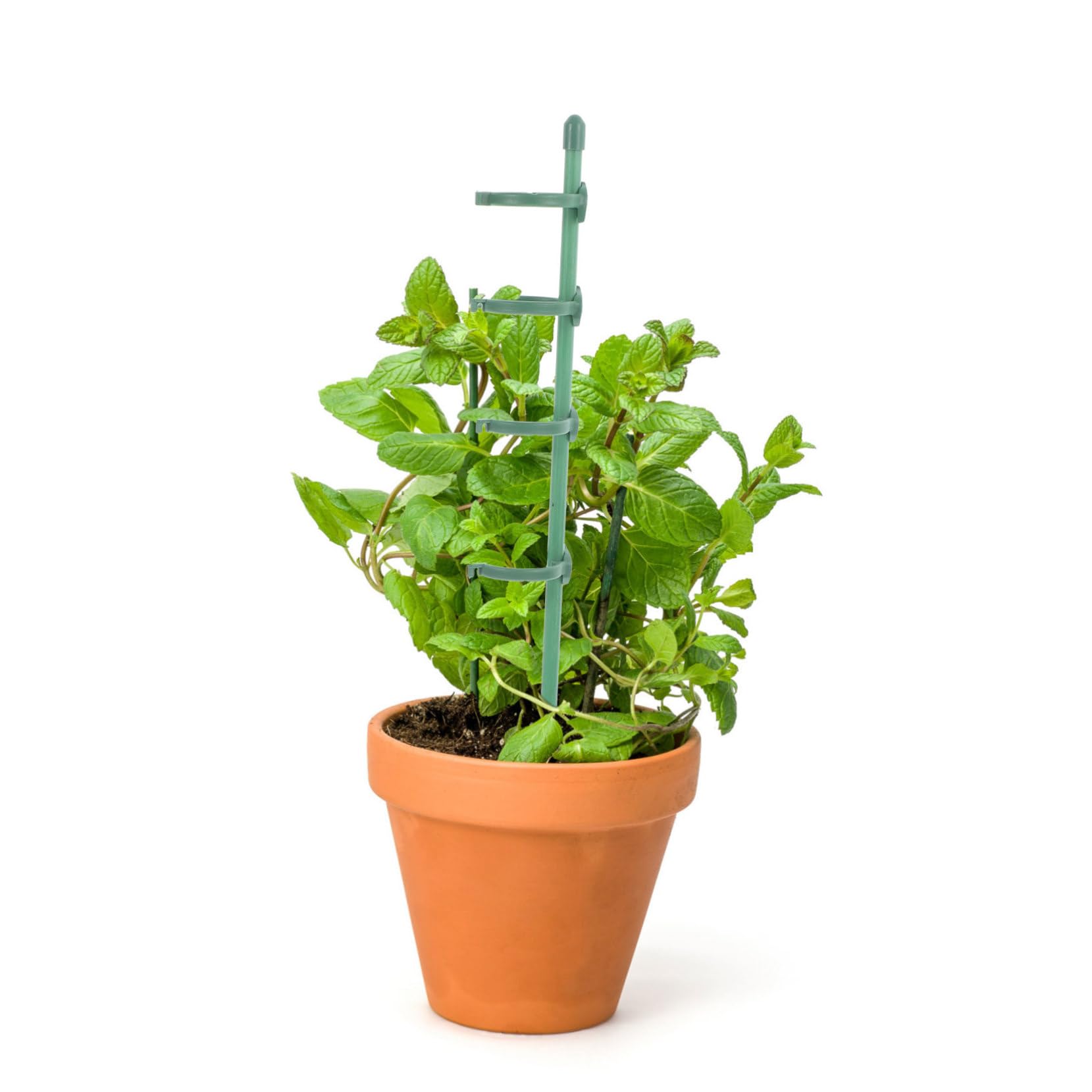 BESTonZON 5 Juegos Estacas de Jardín Soporte de Plantas Trepadoras Clips Ajustables Soporte Vegetales Resistente al Aire