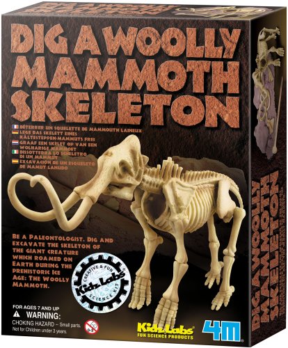 Amazon | 4M KidzLabs DIG-A-DINO SKELETON 発掘 マンモス | 化石