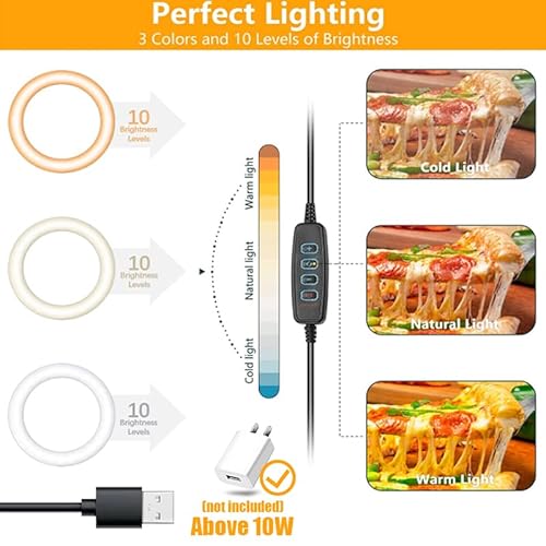 Selfie Ring Light With Stand And Phone Holder,Overhead Phone Mount With 10.5" Ring Lights,Desk Circle Lingt With Tripod Adjustable Shooting Arm For Video Recording,Youtube,Tiktok,Live Streaming #TOP5