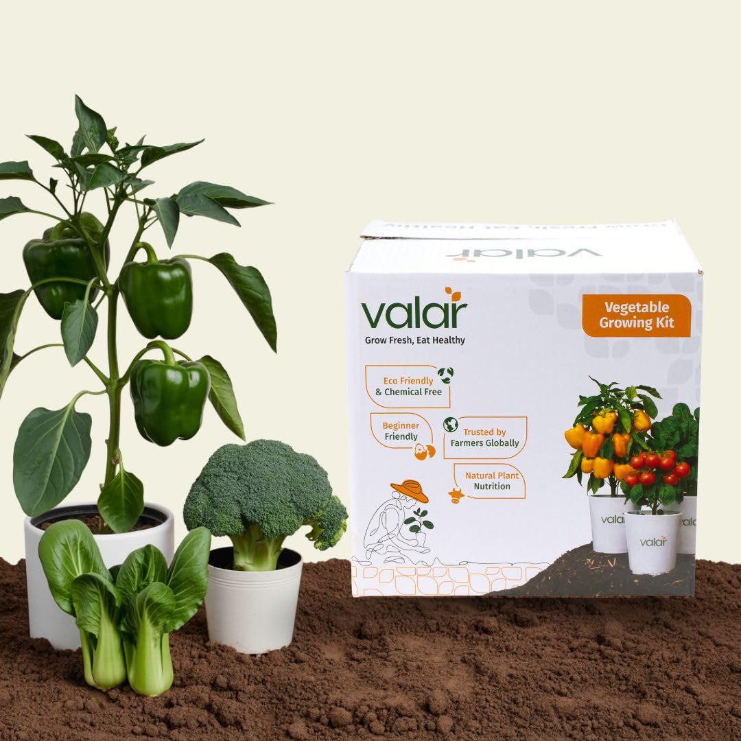 Valar Stir-Fry Sensation Garden Kit | Organic, Non-GMO Seeds | Grow Asian Stir-Fry Veggies at Home!-image-45