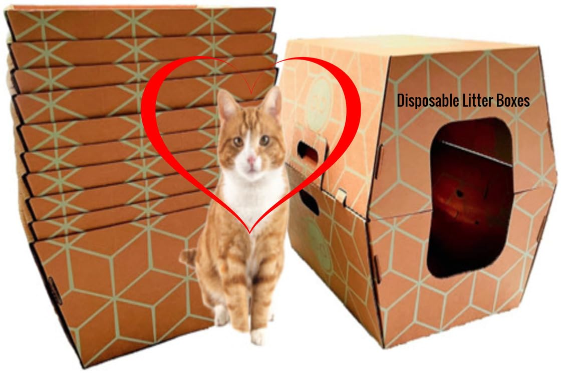 Cats Desire - 12 Trays, Disposable Litter Boxes for Cats - Litter Box, Fits Large Cats - Water Resistant Cat Litter Box - Made in USA, 19" L x17 W x