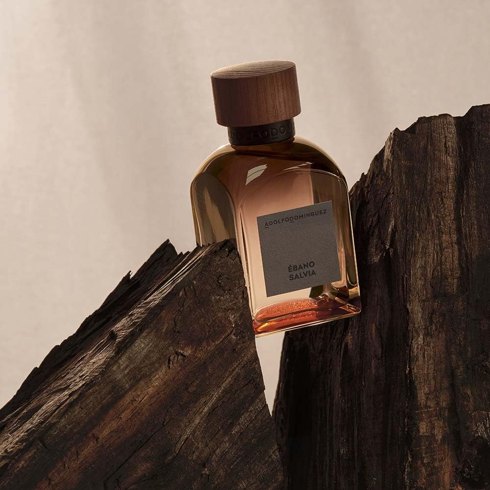 Perfumy Męskie Adolfo Dominguez Ebony Szałwia EDP (120 ml)