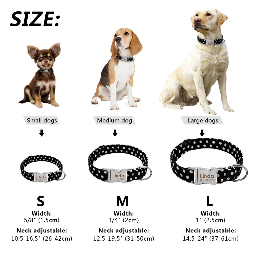 Didog Hundehalsband Aus Weichem Nylon | Mit Edelstahl-Schnalle & Personalisierbarem Namensschild