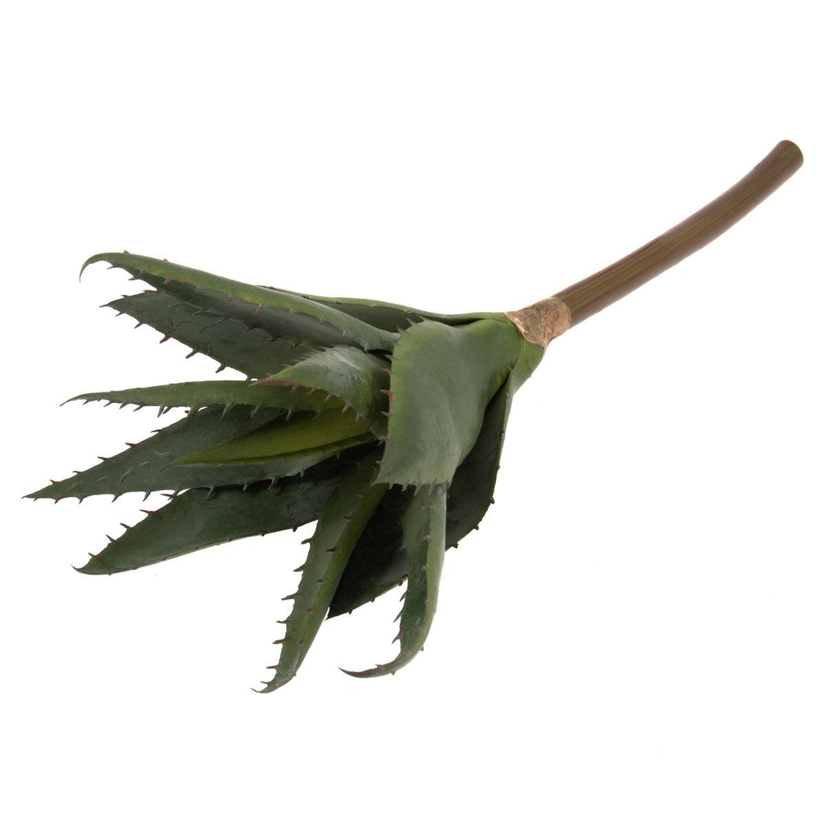 Groves Of Thame Ltd 30cm Artificial Aloe Vera Succulence Bunch, Thick Stemmed Foliage Realistic Leaves