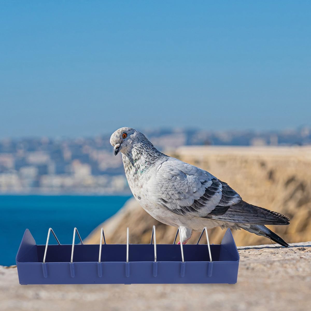 KOMBIUDA 3pcs Large 8-Slot Plastic Bird Feeder Set 40cm Sturdy Pigeon Food Holder Tray for Cage Feeding and Watering Supplies