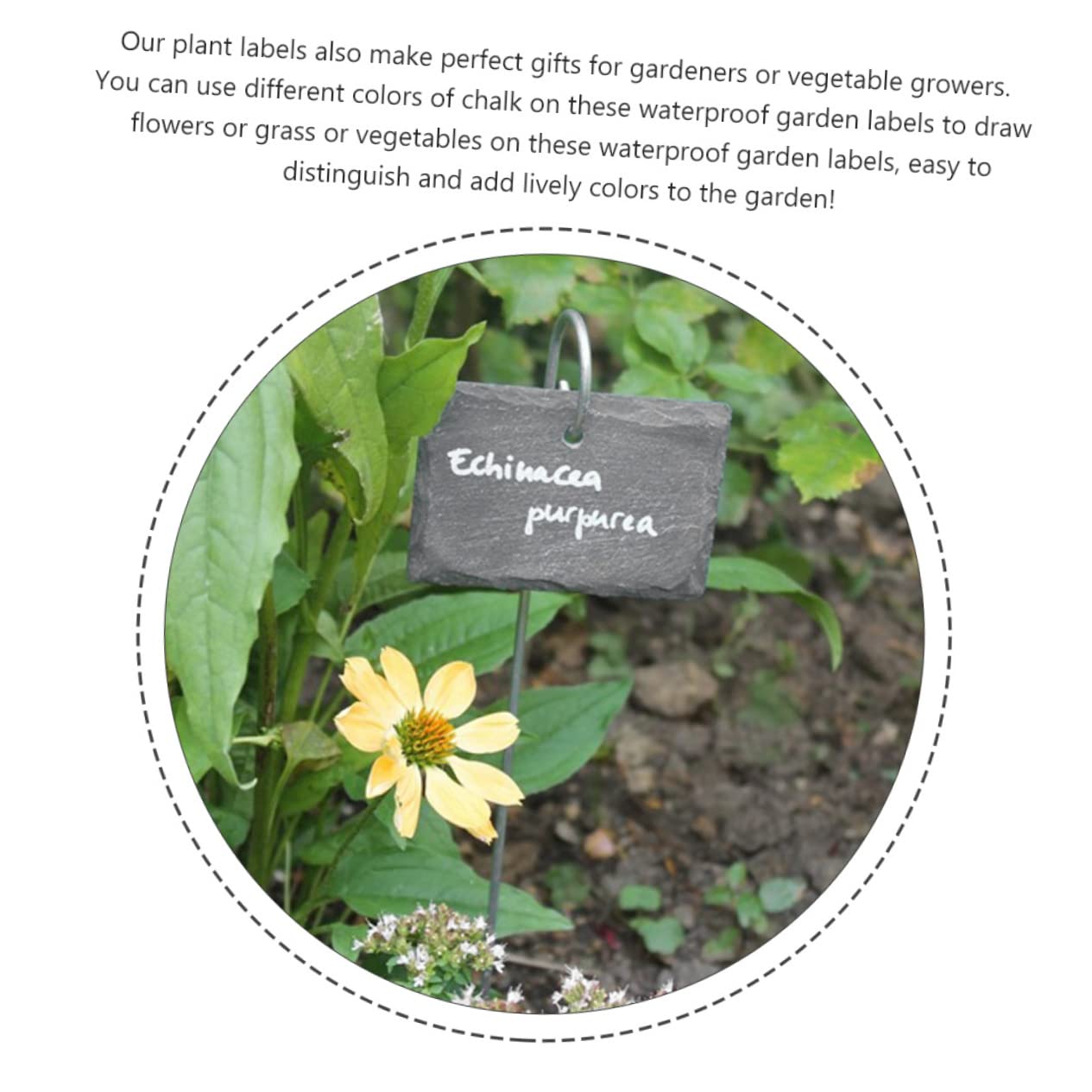 YARNOW Etichette per Piante in Ardesia, 12 Pezzi, Nere, Leggere e Facili da Scrivere, Accessori da Giardino per Aiuole e Parchi