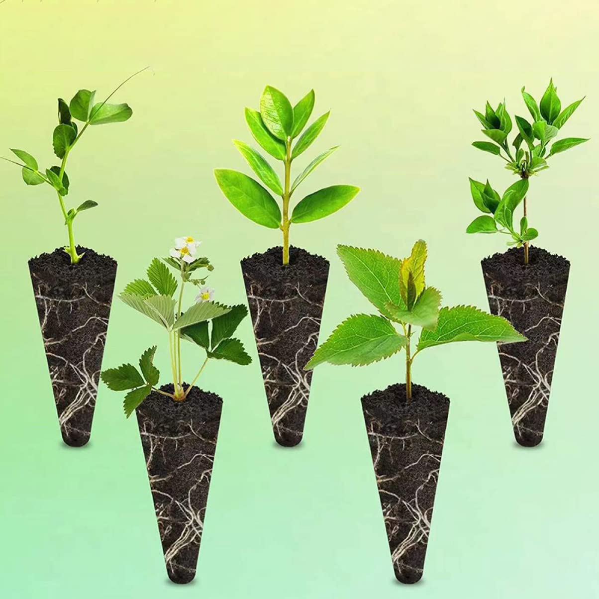 Mipcase 100pièces Blocs De Culture Soilless pour Pépinière Nutriments Terreau De Culture sans Sol pour Plantes Et Jardins Intérieurs