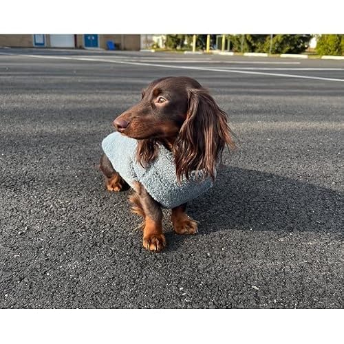 Gooby Sherpa Vest Dog Sweater - Stone Blue, X-Large - Warm Fuzzy Fleece Step In Dog Jacket Without Ring Leash - Winter Small Dog Sweater - Dog Sweaters For Small Dogs And Medium Dogs For Everyday Use #TOP4
