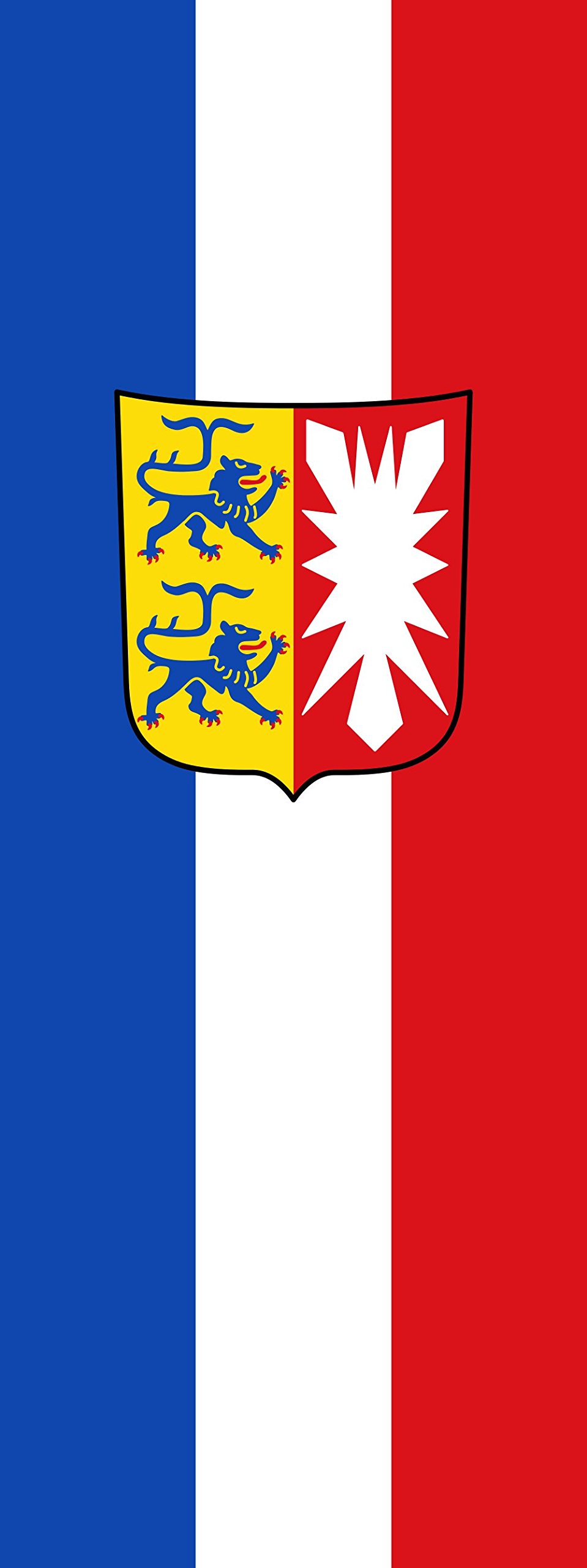 Drapeau Schleswig-Holstein vertical haute résistance de 400x150 cm
