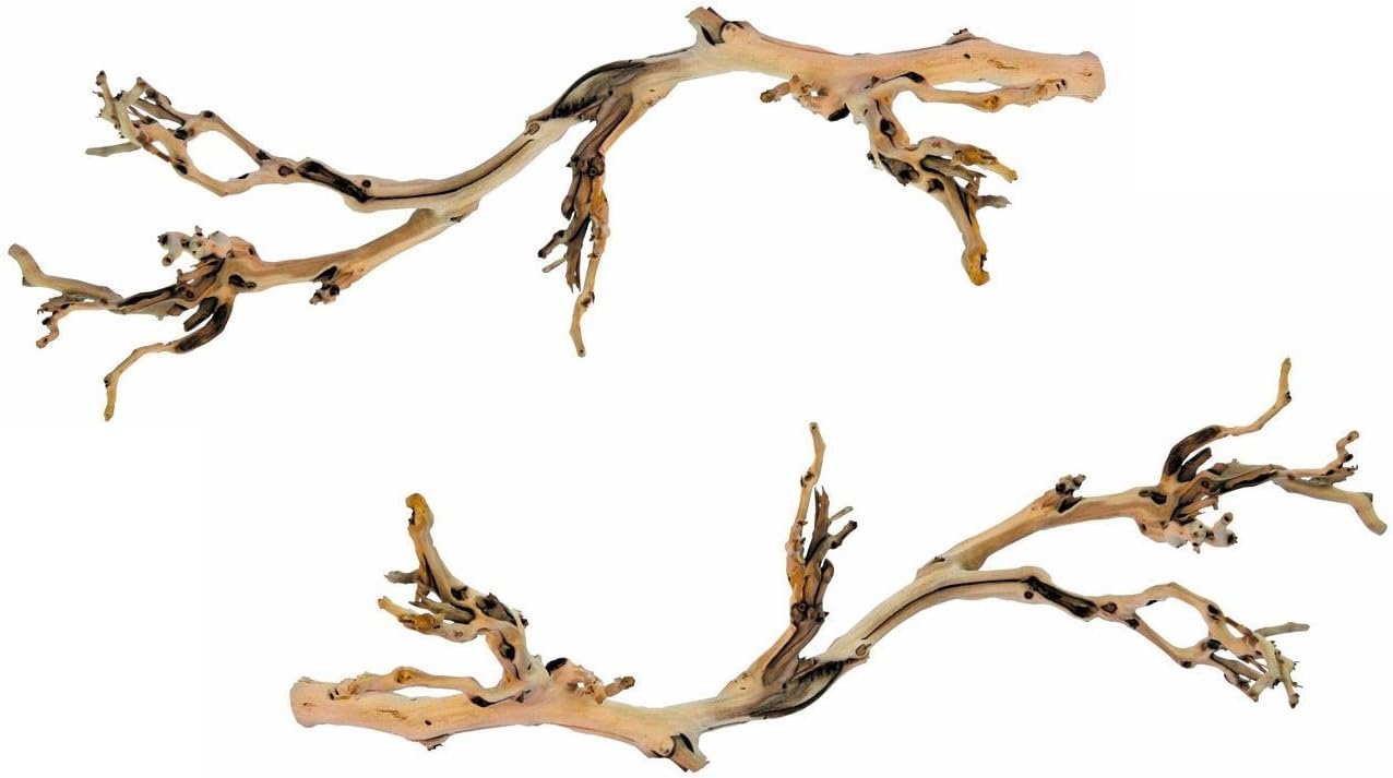 (2 Pack) Exo Terra Forest Branches, Large