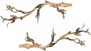 (2 Pack) Exo Terra Forest Branches, Large