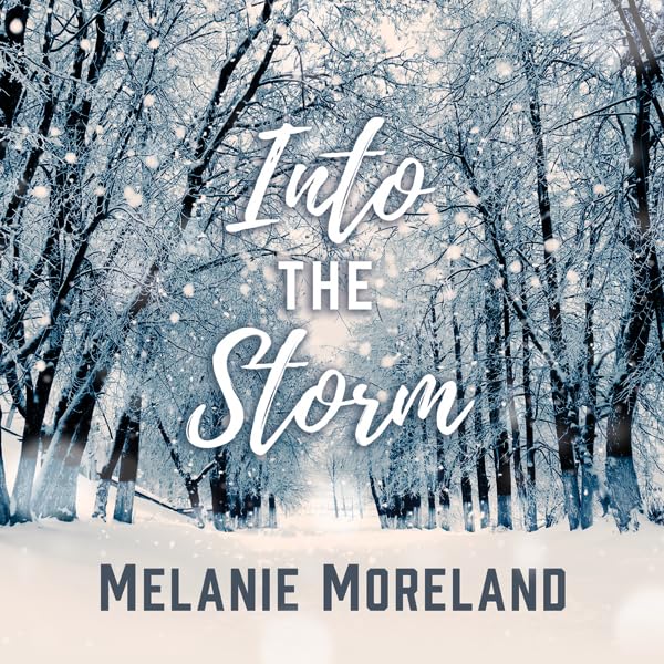 Cover art for Into the Storm