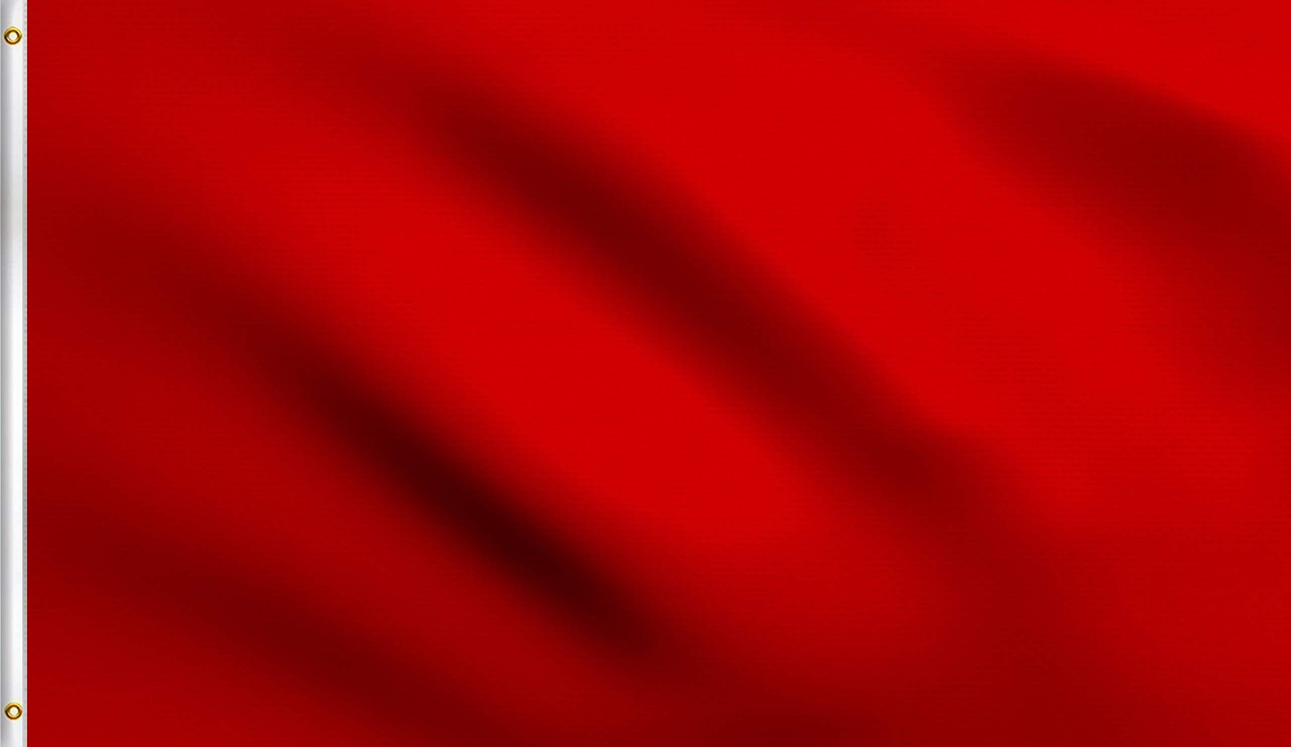Amazon.com : DMSE Red Solid Blank Flag 2X3 Ft Foot Flag UV Resistant ...