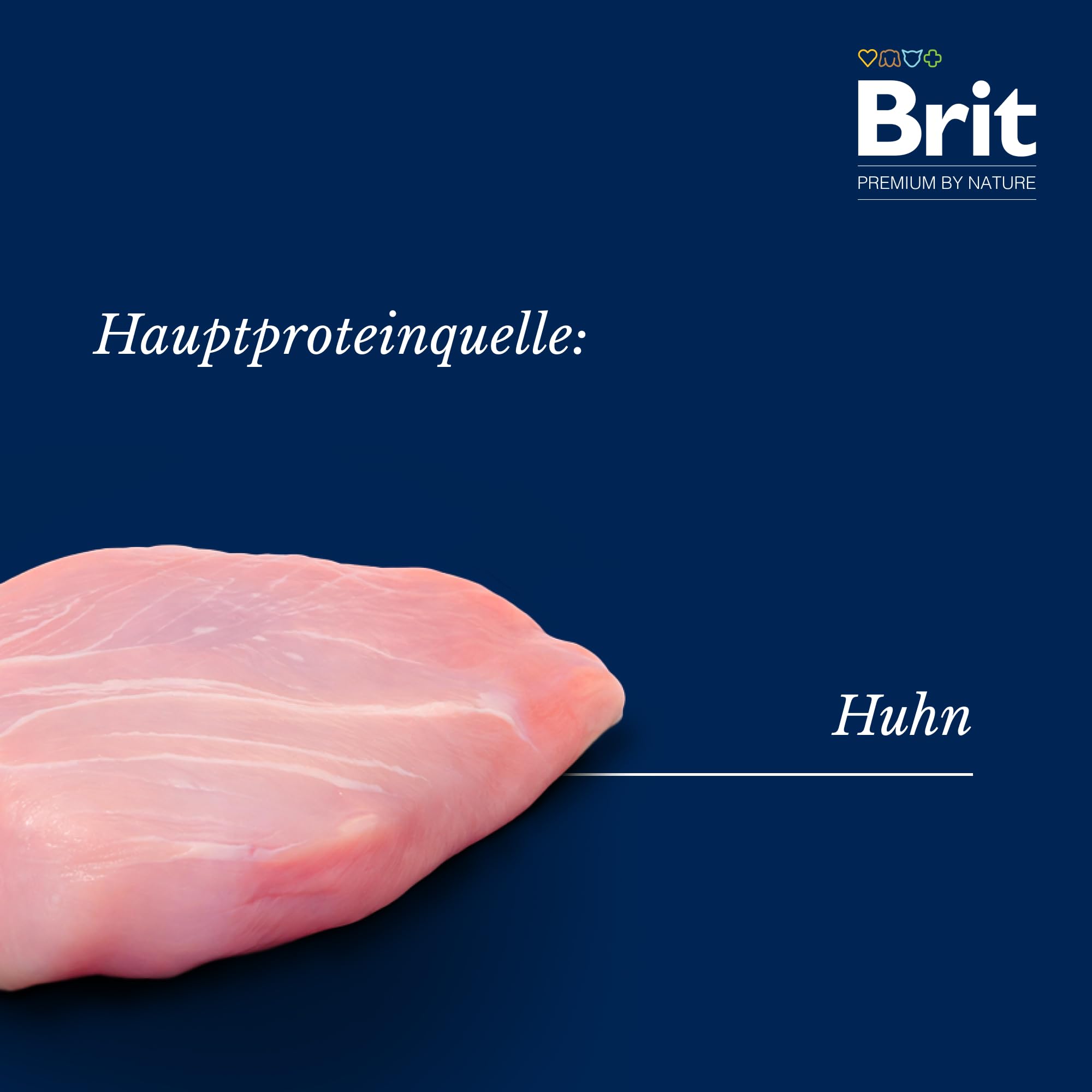 Brit Sucha karma dla psów - 8000 gr