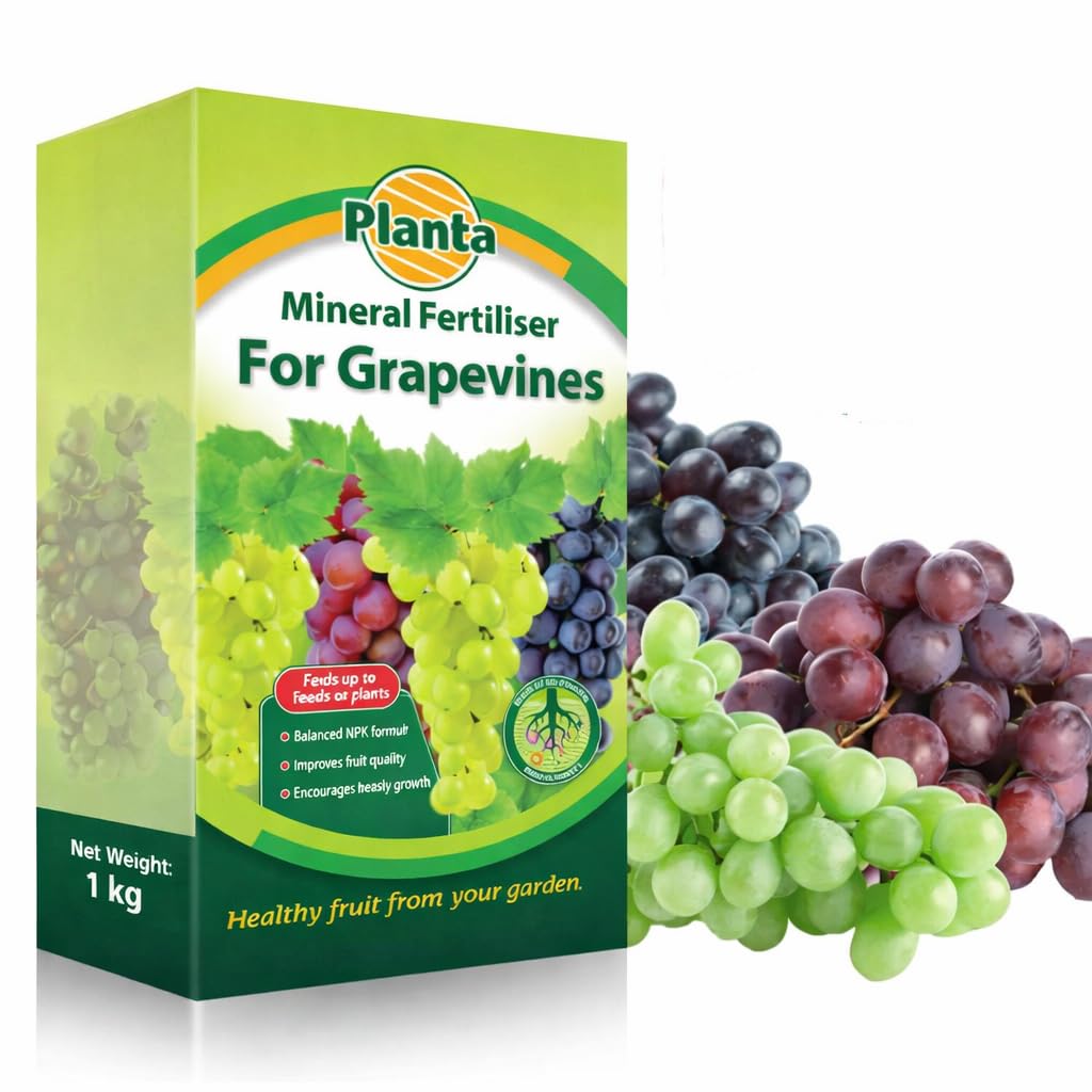 Mineral Fertiliser for Grapevines Balanced NPK Formula Healthy Growth 1kg