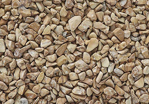 Exotic Wood Bean Pebbles