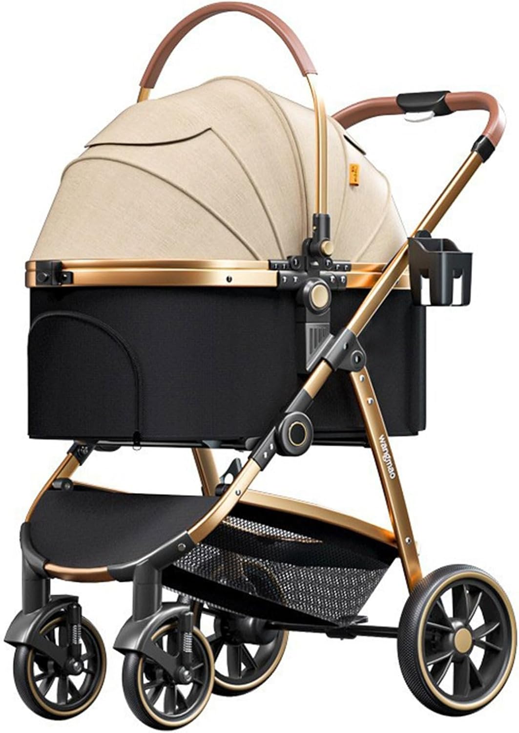 超大型！ ドラセナ ドラコ Dracaena draco 【直接引き渡し】 ドラセナ