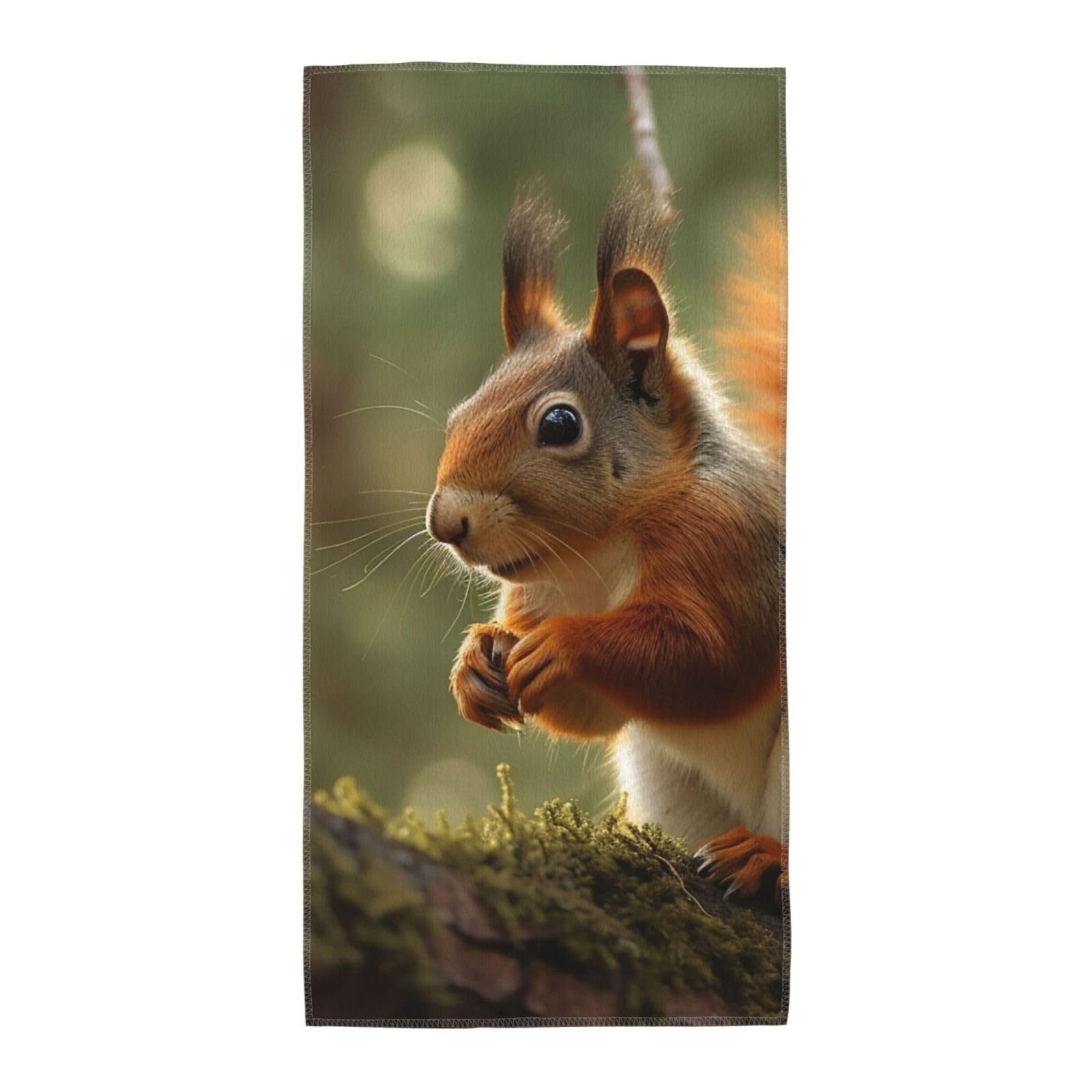 FodPand Microfiber Hand Towels for Bathroom, Soft Absorbent Decorative Face Towel Wildlife Forest Squirrel Guest Bath Towel 12"X24" Kitchen Dish Towel for Bathroom Kitchen Hotel Gym Spa Towels