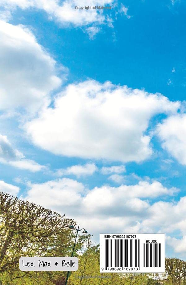 Vista 2 de Sudoku book for adults, HARD, 100 sudoku puzzles Sudoku in Paris, with reprint, hints, semi-solutions, solutions via QR-codes! Fun for your brain