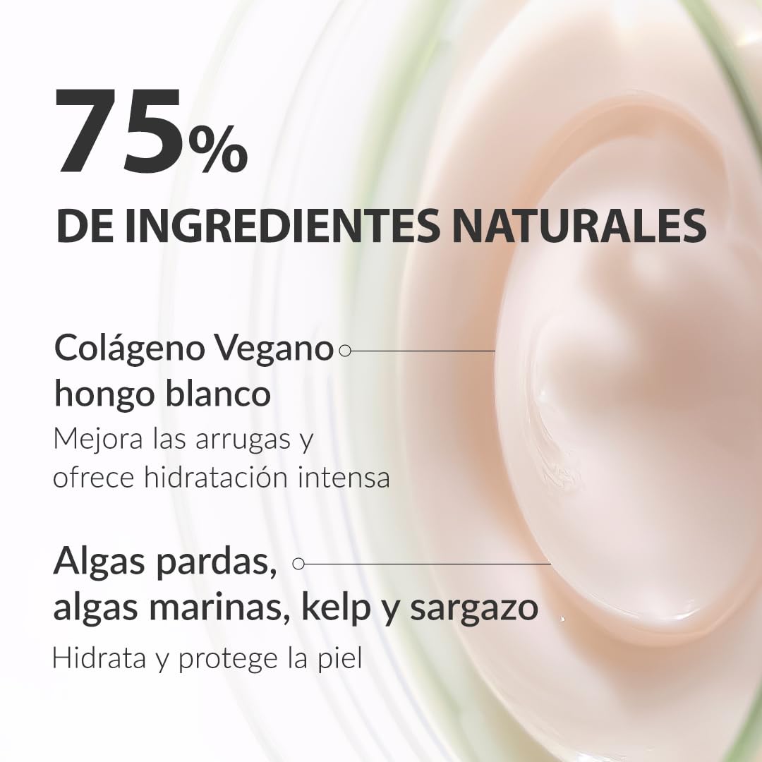 [Mizon] Crema de Noche al Colágeno Vegetal (50ml) Vegan y a base de plantas, Líneas finas y arrugas, Hidratación, Cuidado nocturno (Phyto Plump Collagen Night Cream)