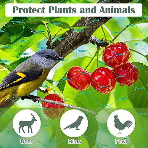 CandyHome 13Ft x 33Ft Anti Bird Protection Mesh Garden Netting Seedlings Plants Flowers Fruit Trees Vegetables from Rodents Deer Reusable Fencing, Green - Thumbnail 5