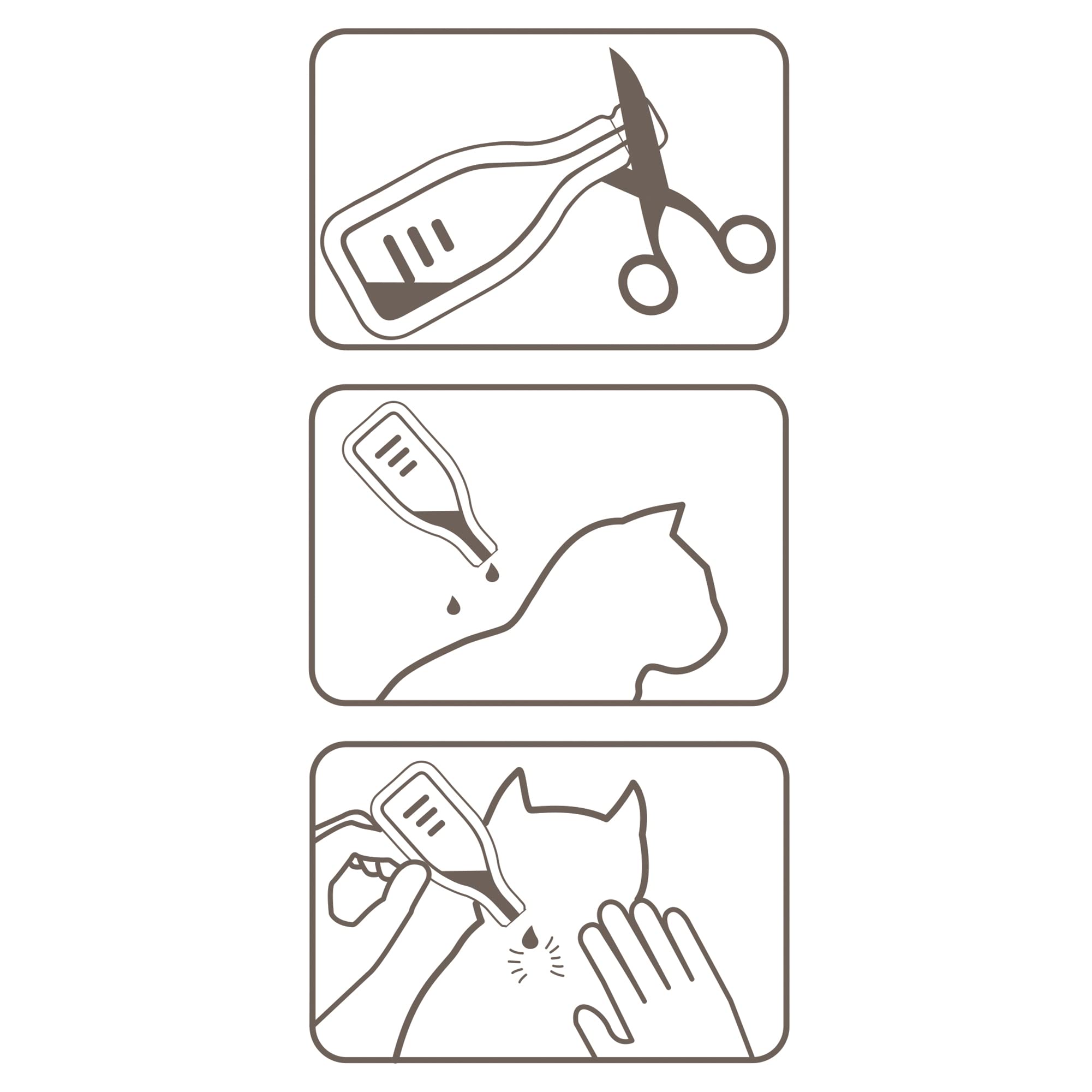 BEAPHAR FIPROTEC 50 MG Solution Spot-on pour Chats À Base de Fipronil Tue Les Puces et Les Tiques à l'application Traitement Antiparasitaire pour Chat dès 8 Semaines 4 Pipettes de 0,50 ML