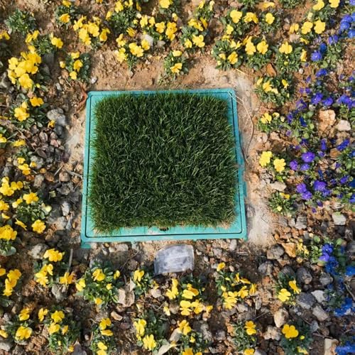 Tapa de drenaje invisible 80x80 cm accesorio duradero para depósito de aguas residuales en jardín 7