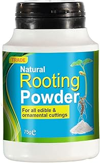 Trade Natural Rooting Powder For Healthy Roots- Rooting Hormone For Cutting and Promotes Strong Healthy Roots - Strong Root Powder Enhance Root System of All Plants, Trees, and Shrubs- (Pack of 1)