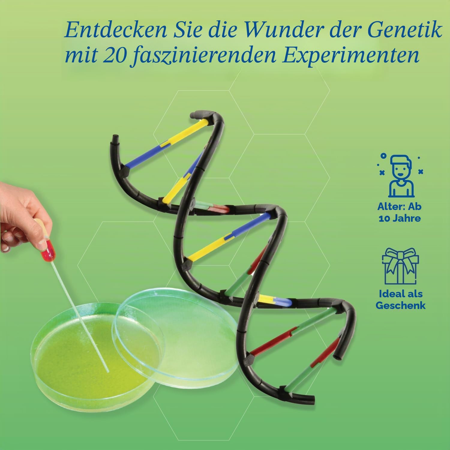 Thames & Kosmos, 665007, Genetics & DNA Lab, Learn About Biological Inheritance, Isolate Plant DNA in A Test Tube, 20 Experiments, Ages 10+