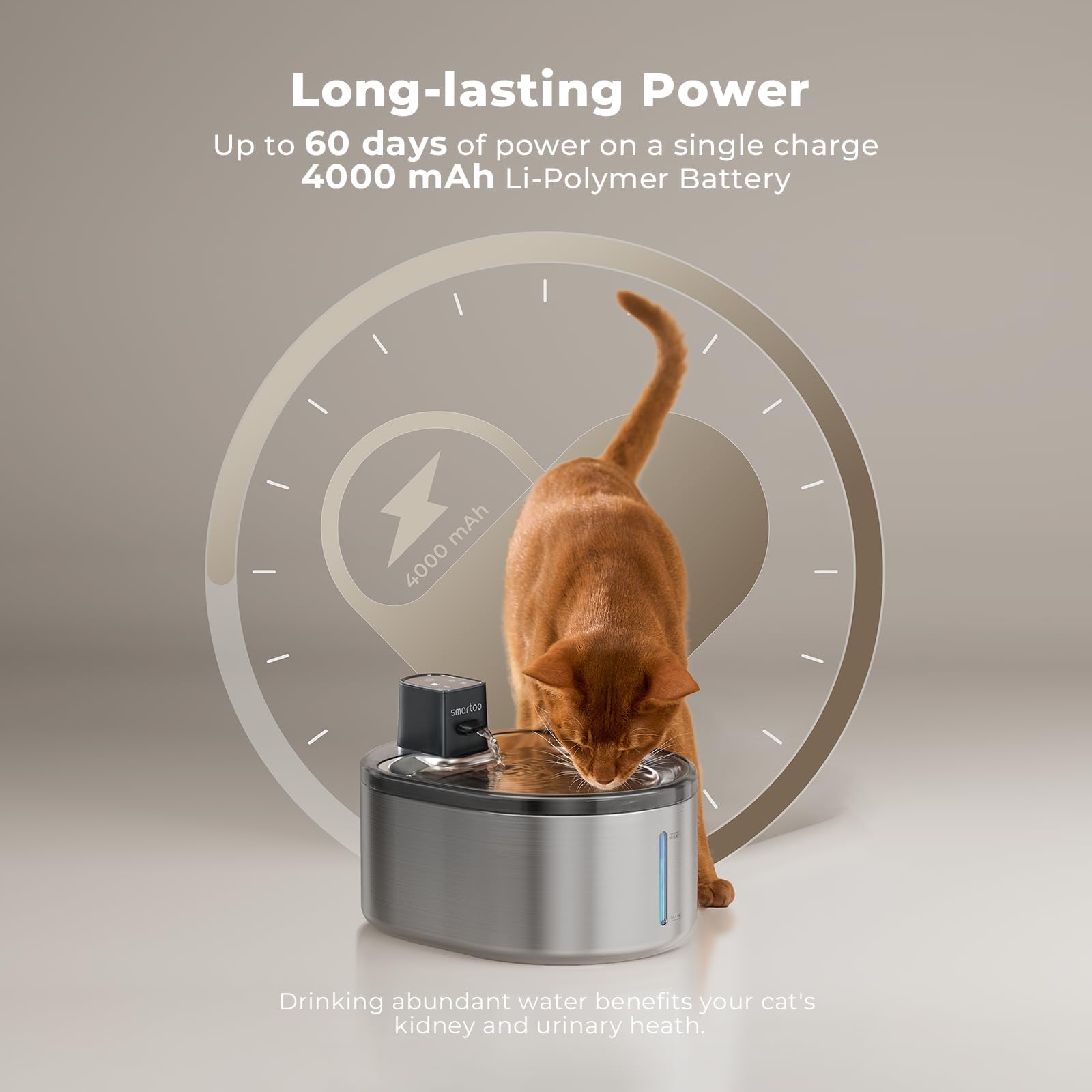 Wireless Cat Water Fountain Stainless Steel, 152oz/4.5L Cat Fountain Battery Operated, Cordless Pet Water Fountain for Cats & Dogs with Motion Sensor, Ultra Quiet Pump, 6 Filters - image 4