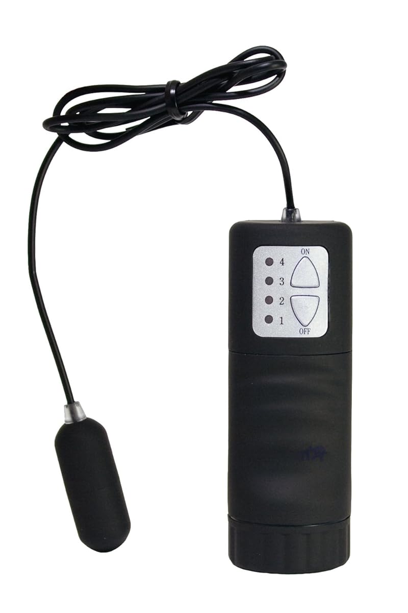 インスピレーション ブラック トイズハート 販売終了