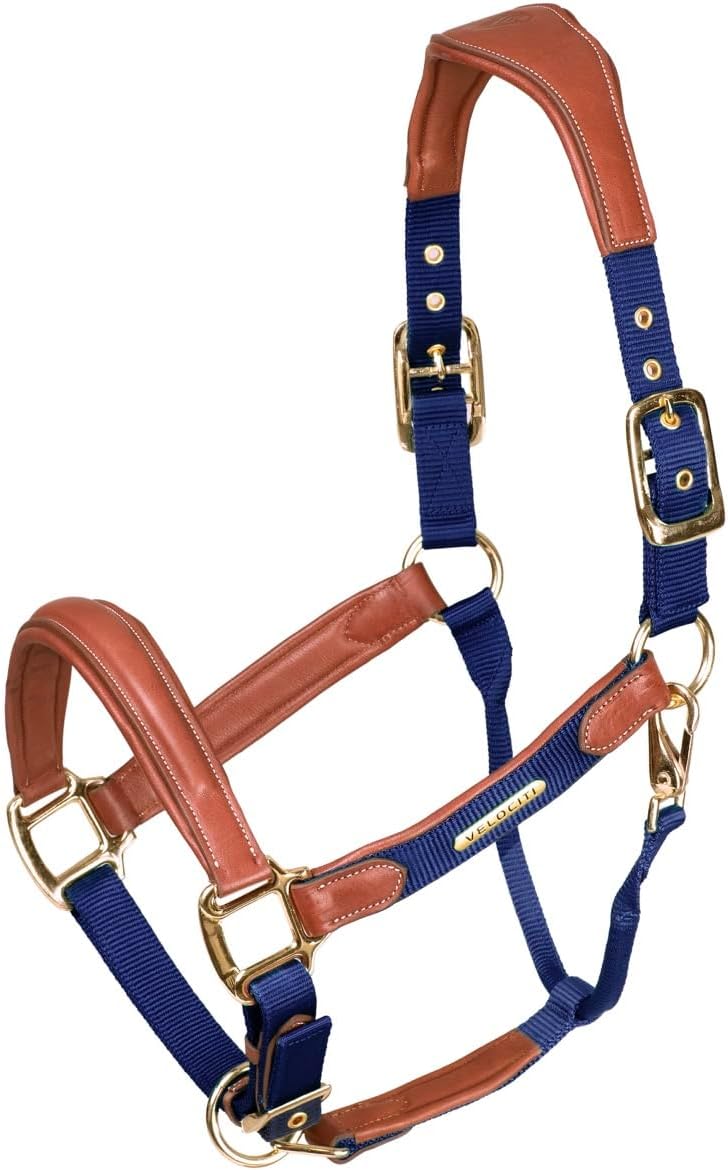 Shires Velociti Lusso Padded Leather Halter with Breakaway Black/Cob
