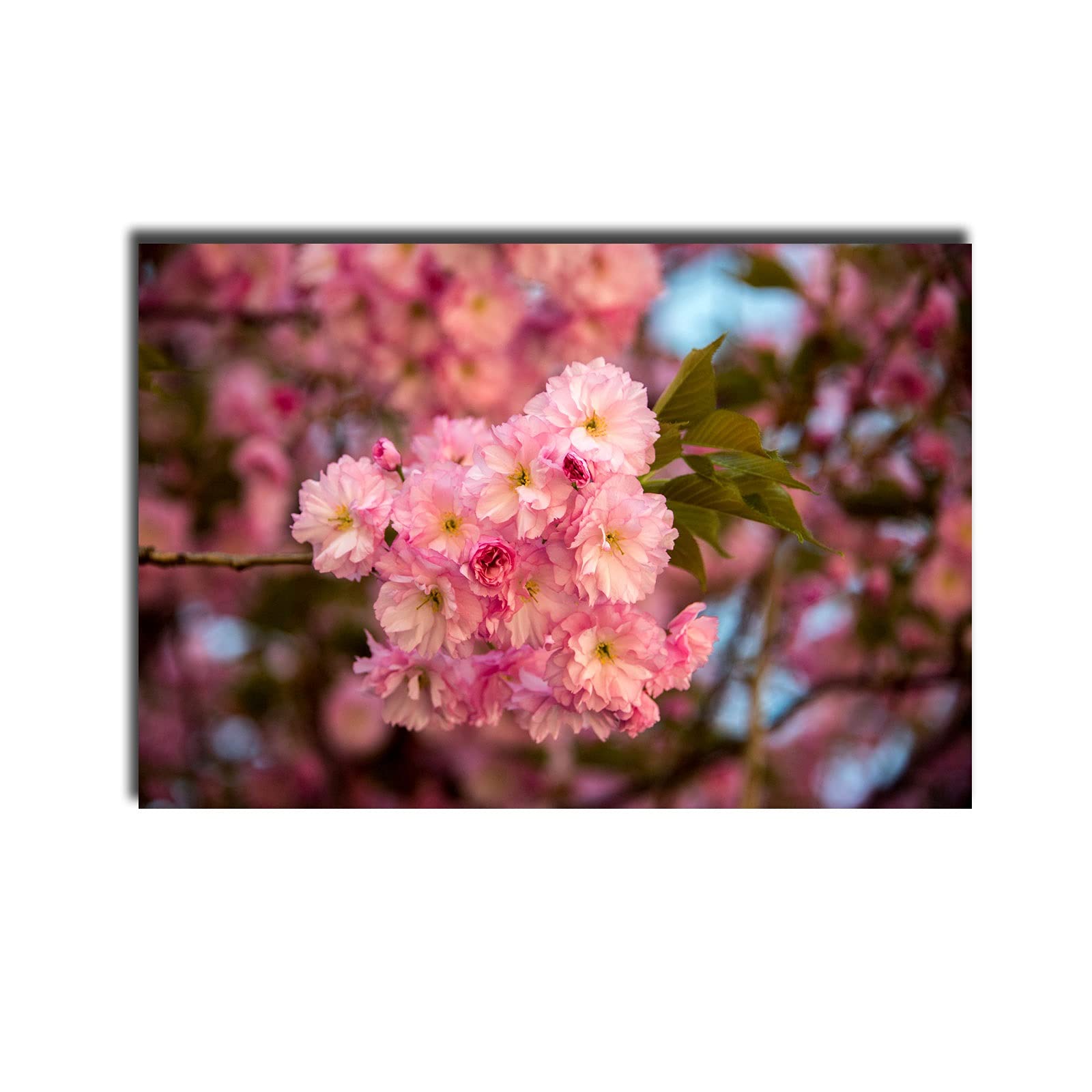 Peinture cerisier blossoms abstrait décoration salon chambre YH0013