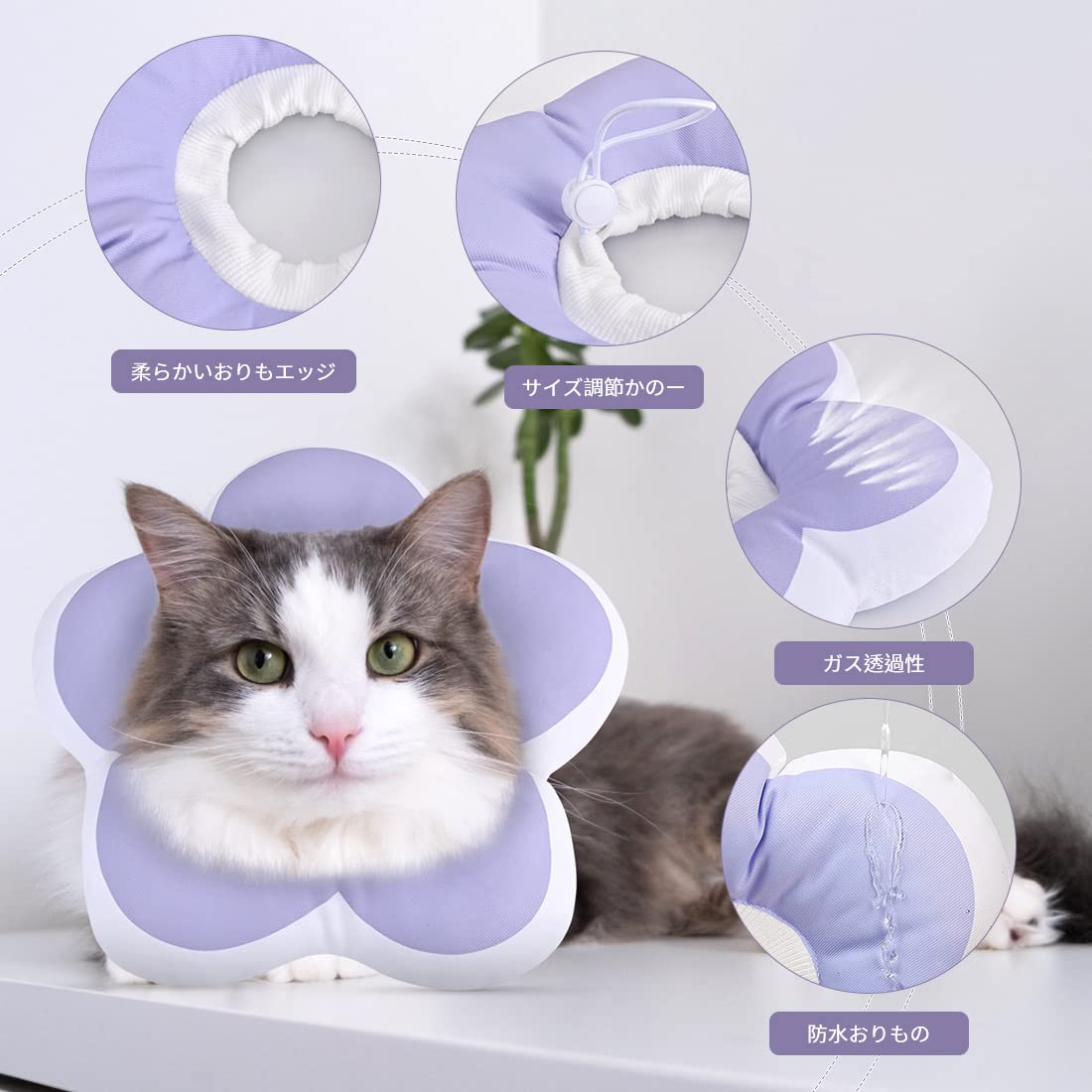 Amazon | 【獣医師推奨】エリザベスカラー 猫 犬 ソフト 軽量 防水 傷
