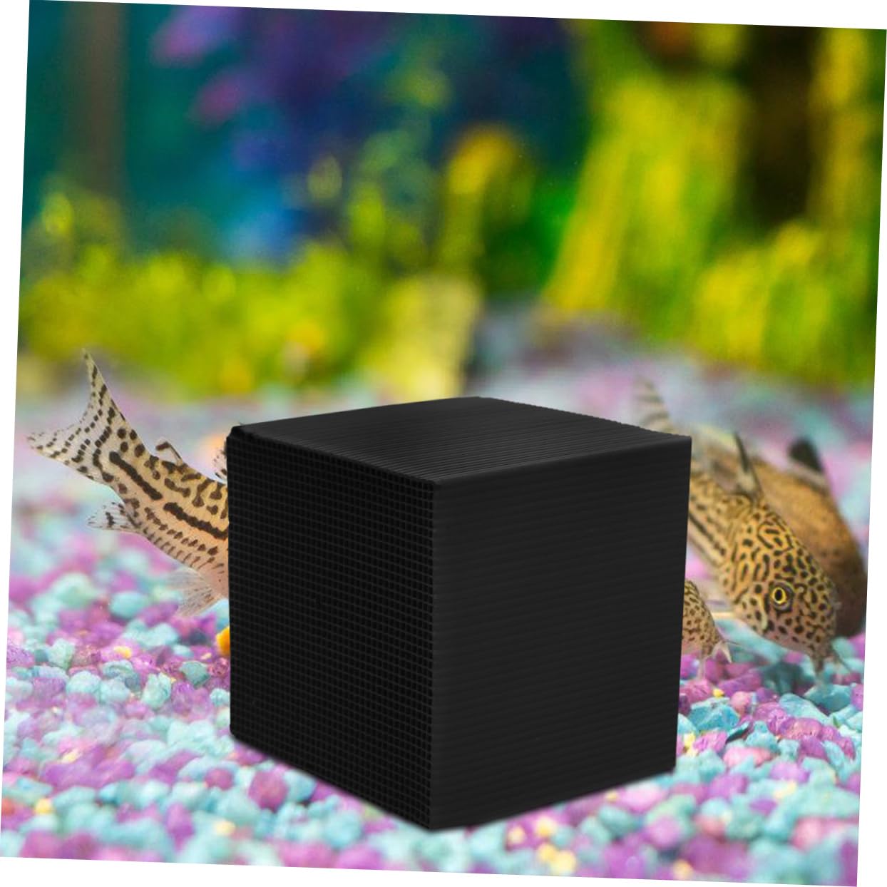 COLLBATH Aquarium Wasserfilterwürfel 2 Stück Wiederverwendbare Filterwürfel Für Aquarien Tragbarer Filtermedium