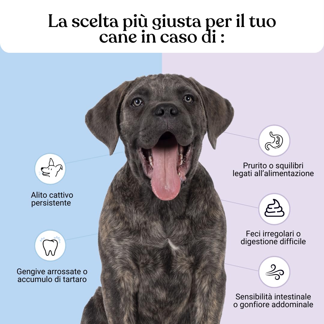 Bau Probiotici per Cani + Polvere Denti Antiplacca e Tartaro – Supporto Digestivo & Igiene Orale Totale – Fermenti Lattici, Alito Fresco e Riduzione Placca, Intestino Sano