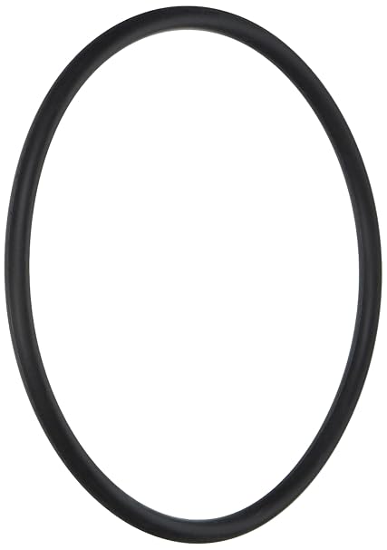 Hayward SPX2700Z4 No. 432 Strainer Cover O-ring Replacement for Hayward Max Flo II Pump