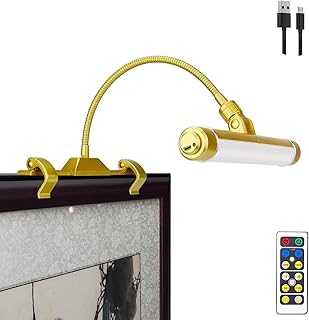 LUXSWAY Wireless Picture Frame Led Lighting,Rechargeable Art Display Lig...