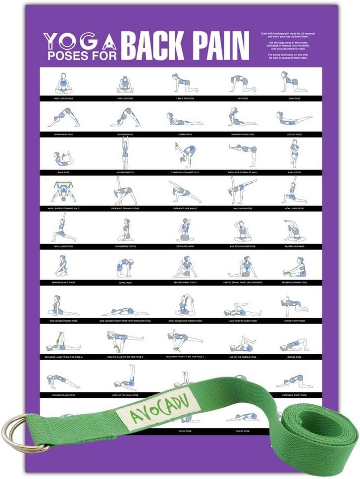 Avocadu Yoga Poses for Back and Neck Pain with 6' Yoga Strap Included- Premium 16"x 24" Poster with Illustrated Yoga Flow Poses for Easy Home Workouts