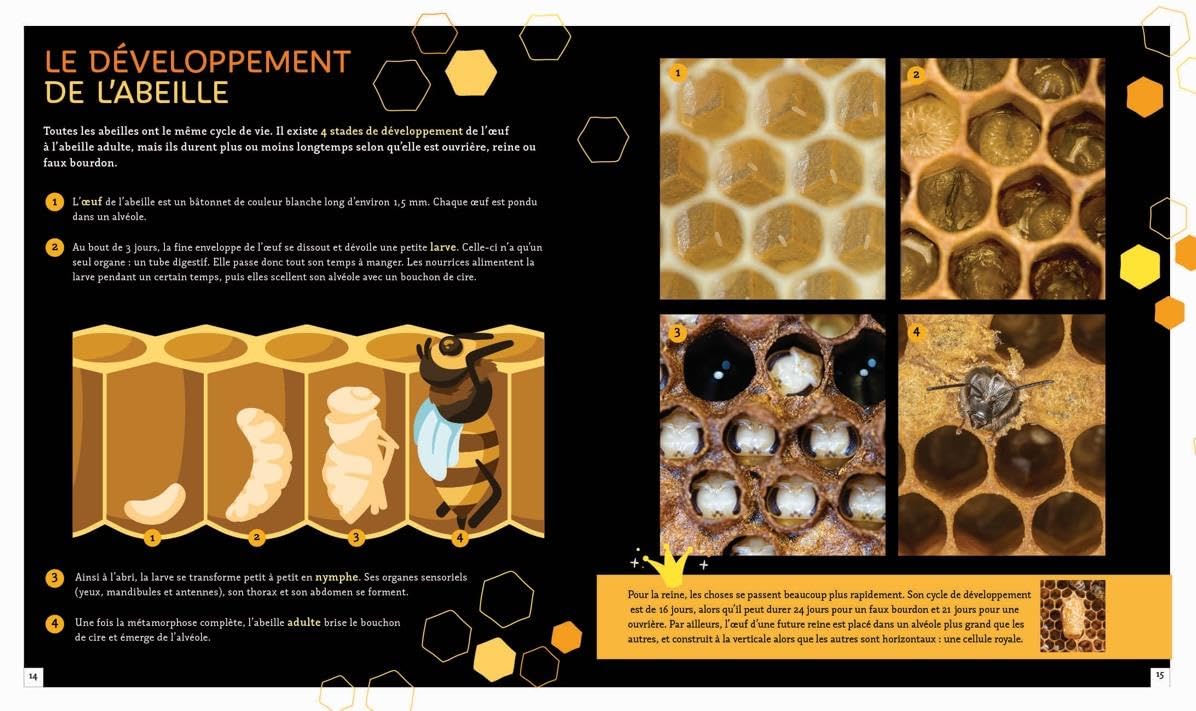 Pas si b�te - L'abeille � miel Bonin, Pierre Alexandre - PT03