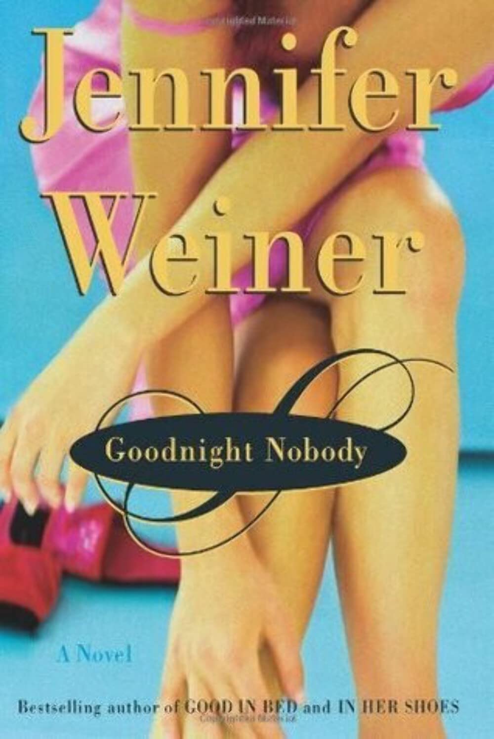 Buy Goodnight Nobody: A Novel — BookShops.in