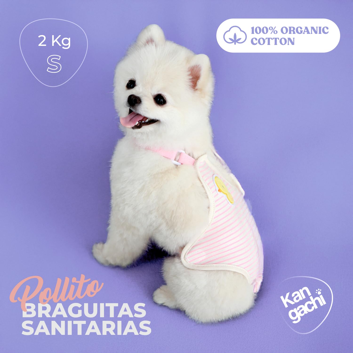 Its Dog & Kangachi - Pack 3 Bragas para Perros Hembra, Bragas Reutilizables y Lavables, Bragas Menstruales, Altamente Absorbentes, Pañales Made in Korea, Perros Pequeños y Medianos, Talla M