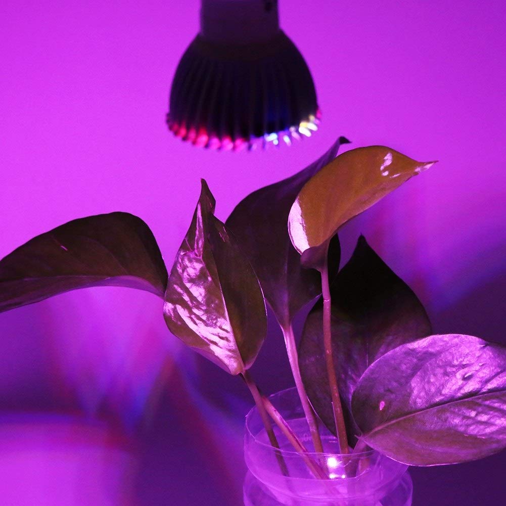 Delaman Lampadina per lampada da coltivazione 28 W a spettro completo a LED per coltivare la luce per piante da fiore 85 V-265 V (design: E14)