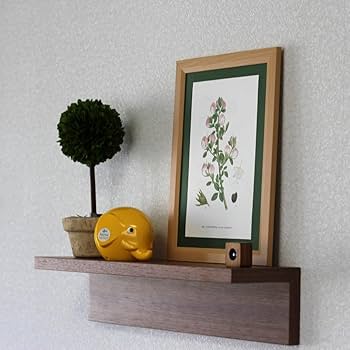 Amazon.co.jp: ボタニカルアート ヴィンテージ ポスター 古い