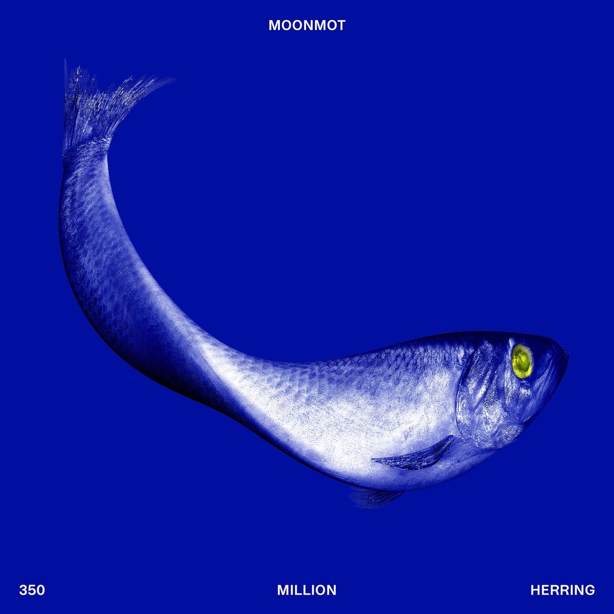 350 Million Herring [VINYL]