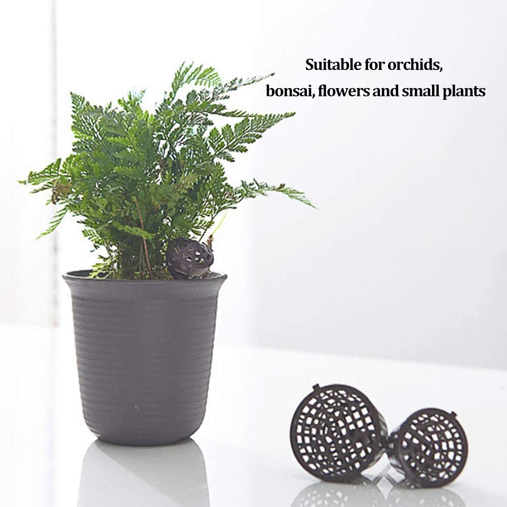 Bonsaï Outil avec Couvercle Boîte Engrais Organique 30 pcs Plastique Epandeur Rangement Plantes