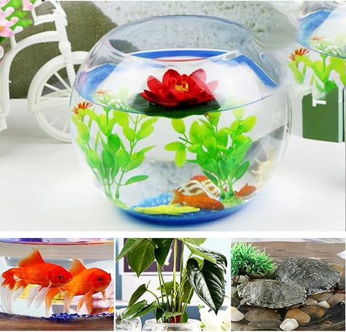 Image of Fish Bowl (10 inch w /c)